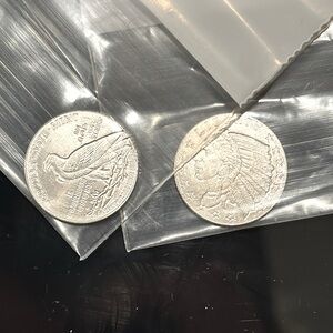 2  1/10th oz silver